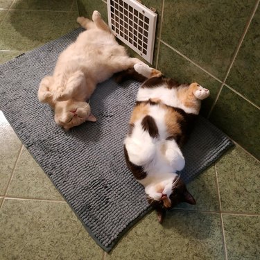 Two kittens laying on their back in the same pose in front of a heating vent
