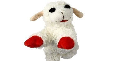 Lamb chop dog toy product photo.