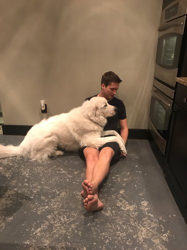 man and dog wait for food to cook