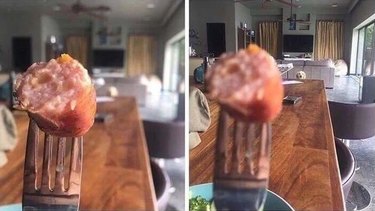 Dog watching human eat sausage