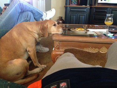 Dog resting its head on table, slowly inching towards plate of food.