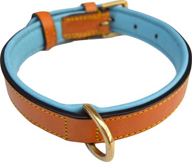 Brown and blue dog collar