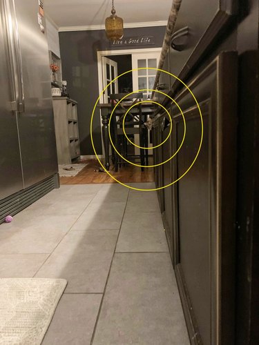 circles surrounding a cat peering around counter to watch human