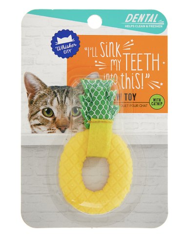 catnip toy for dental health