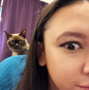 cat photobombs woman's selfie