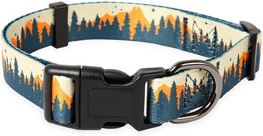 Patterned dog collar