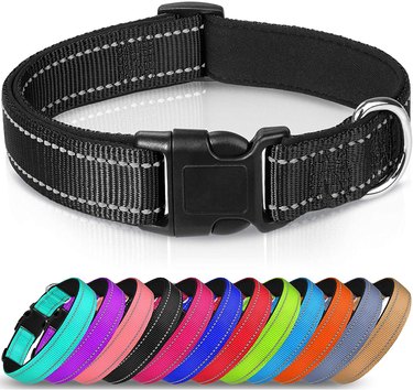Reflective dog collar