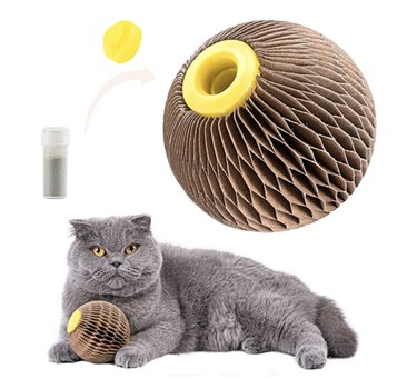 cardboard catnip cat toy
