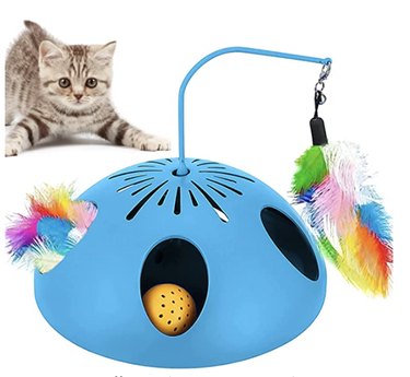 battery operated cat toy