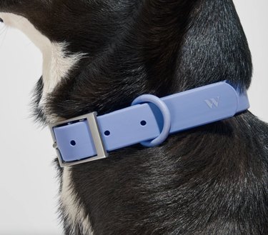 waterproof dog collar