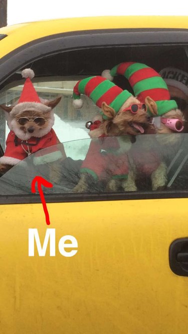 Dogs in elf costumes driving a yellow car.