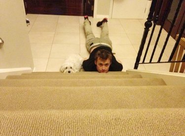 Dog and man waiting at the bottom of a staircase.