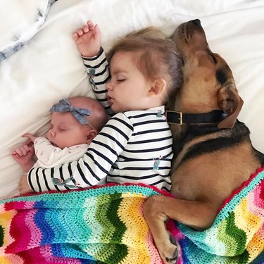 dog cuddling with baby