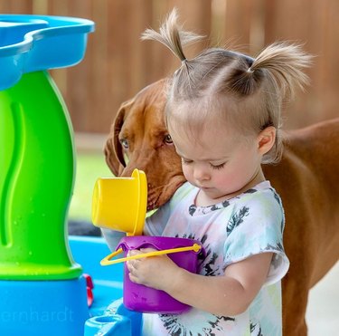 dog helps baby make soup