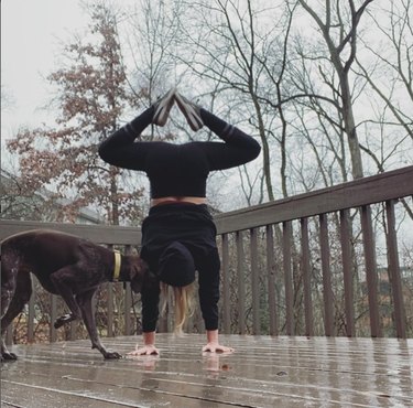 Photo of a person doing a handstand on a patio deck in the rain. A German Shorthair Pointer dog stands next to the person and sticks its face into the person's hair.
