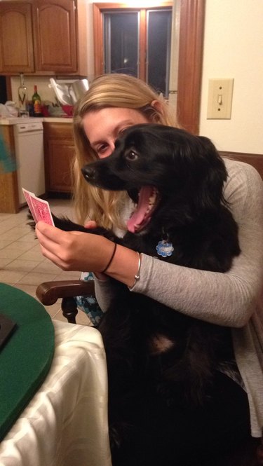 dog gives his hand away at game of poker