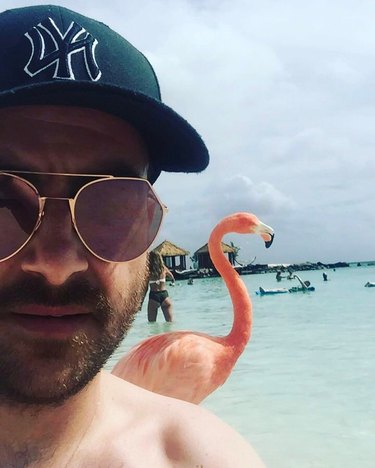 flamingo photobombs man's beach selfie