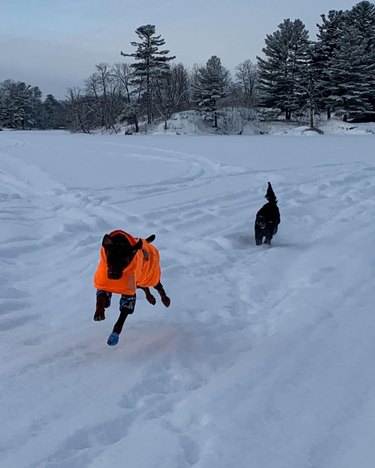 dog running around on frozen lake