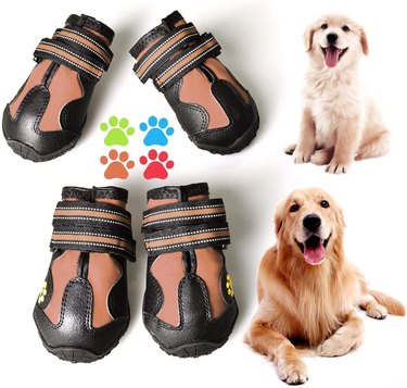 Brown dog rain boots