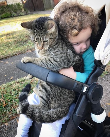 child in stroller holding cat