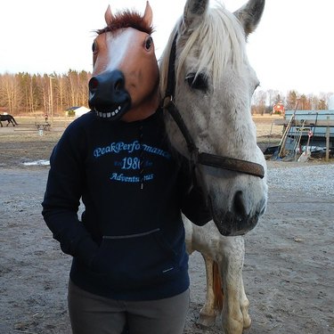 horse standing next to person wearing a horse mask