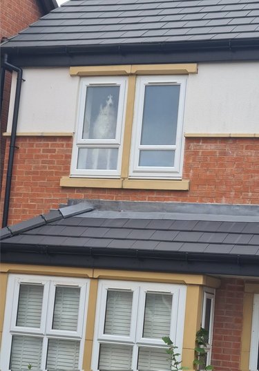 Dog standing in a second story window of a house