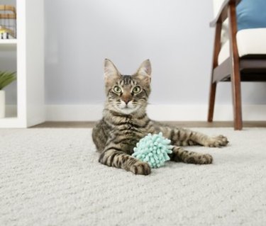 fluffy cat ball toy