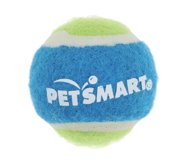 cat tennis ball toy