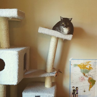 cat tower leaning to side