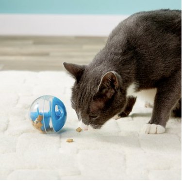 treat dispensing cat ball toy