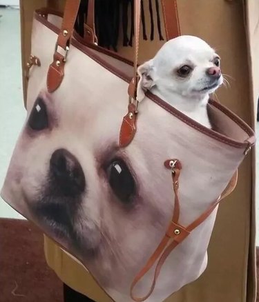 dog in handbag with dog's face printed on it