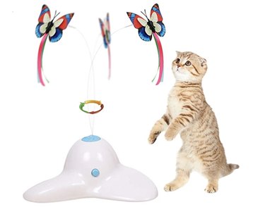 interactive cat toy with butterflies