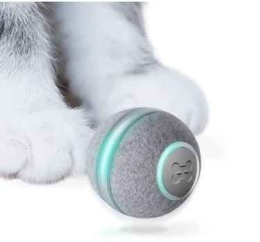 interactive cat ball toy