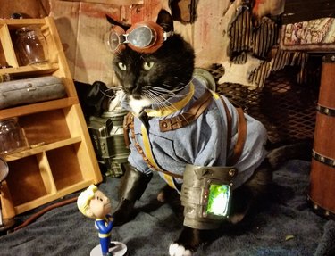 cat cosplay from Fallout video game