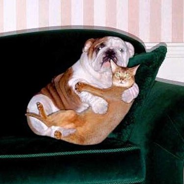 dog and cat cuddling on couch