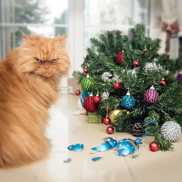 cat knocks over christmas tree