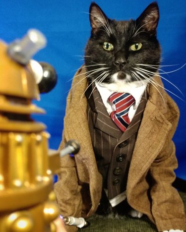 Doctor Who cat cosplay