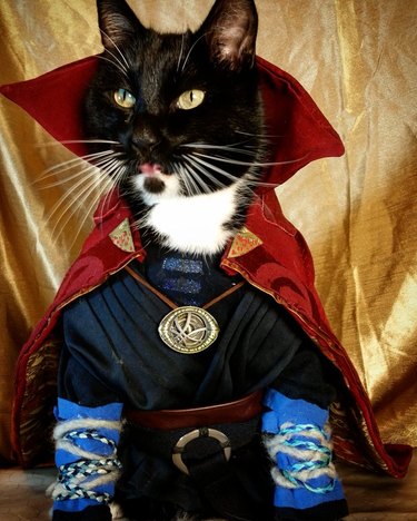 Doctor Strange cat cosplay