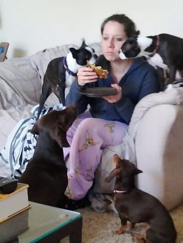 Dogs grouped around woman with sandwich.