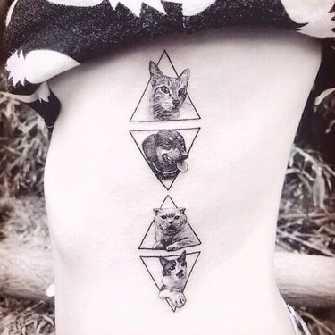Cat and dog tattoos framed in triangles.