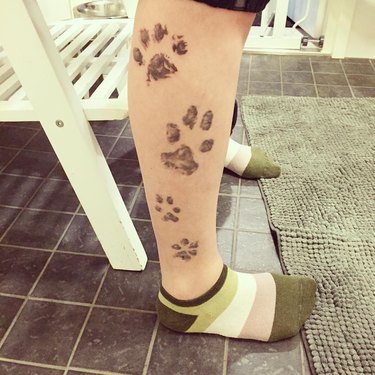 A tattoo of paw prints on a person's leg.