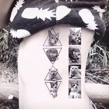 Cat and dog tattoos framed in triangles with the photos based on the tattoo art.