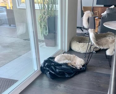 A dog is sleeping on a grill cover instead of their dog bed.