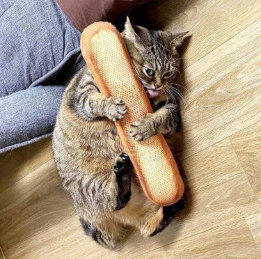 A cat attacking a loaf of French bread