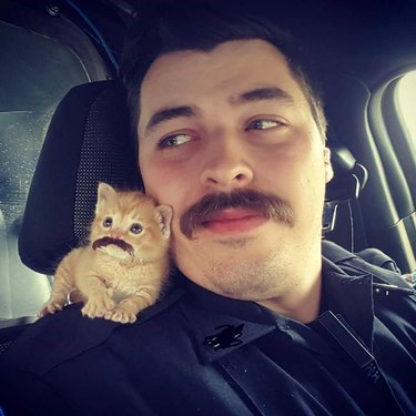 cat and man have matching mustaches