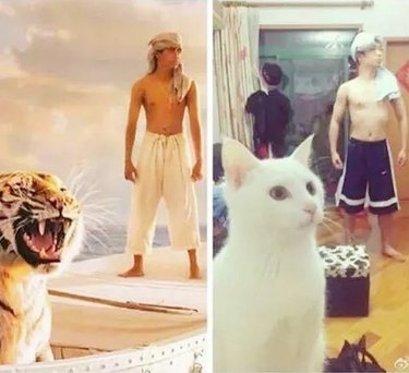 man and cat recreate scene from Life of Pi