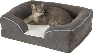 Cat laying in cat bed