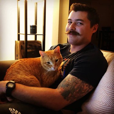 orange cat sits on man's lap