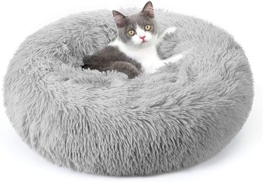 Cat in grey bed