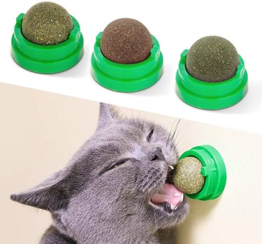 Cat chewing catnip ball
